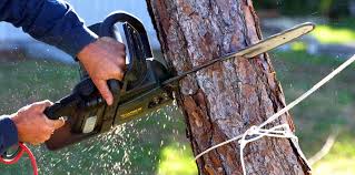 Best Weed Control  in Turnersville, NJ