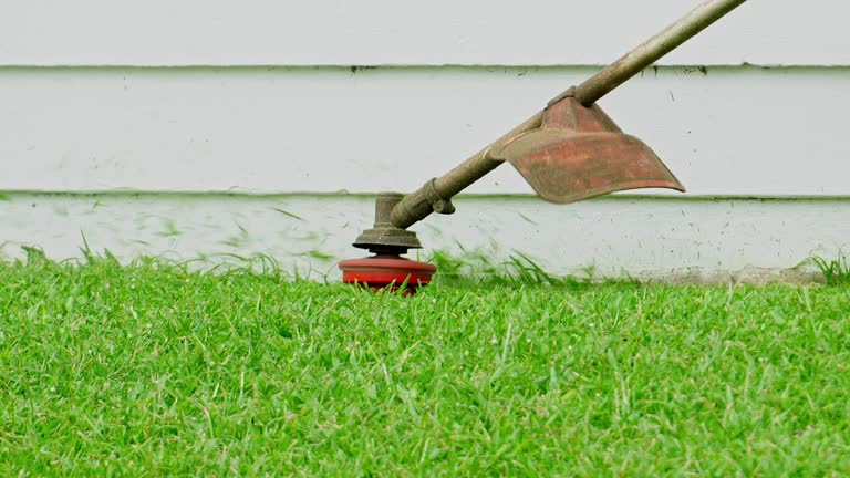 Best Arborist Consultation Services  in Turnersville, NJ
